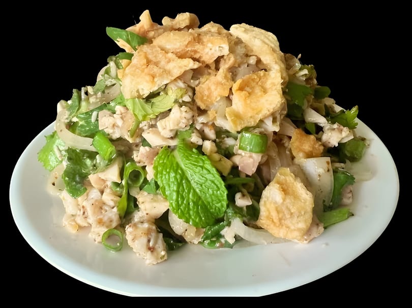 Chicken salad with green onions, cilantro, and crispy fried wonton strips on a white plate.